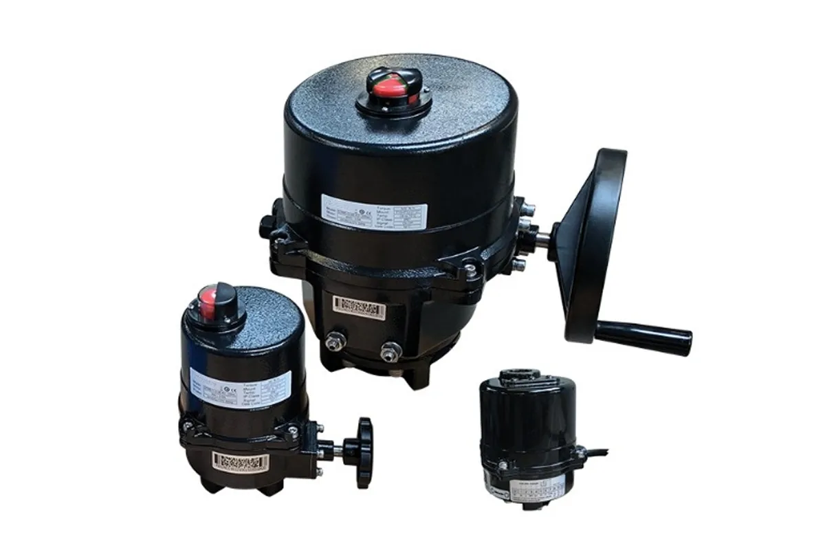 BSKY actuated valve assembly for BWMS: valve body with pneumatic/electric actuator and limit switches